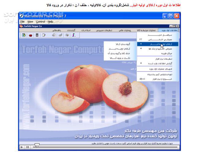 نرم افزارهای حسابداری(کامپیوترامید)
