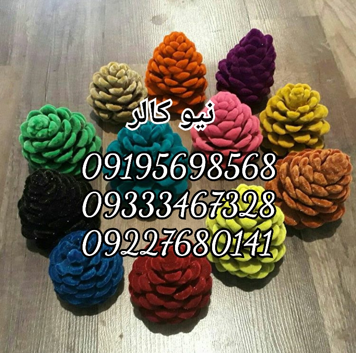 مخمل پاش چیست؟ 09362709033 نیوکالر