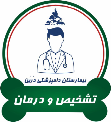 تشخیص ودرمان حیوانات خانگی بیمارستان دامپزشکی درین