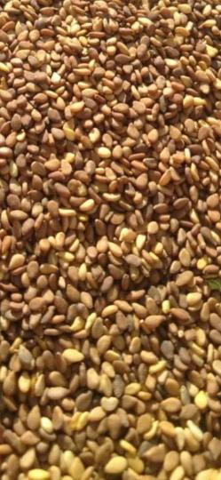 فروش کنجد بوداده مخصوص ارده گیری 