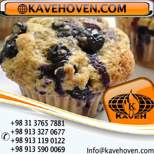 دستگاه فر گردان 09133270677