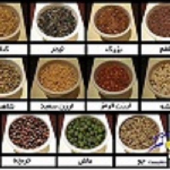 عرضه کننده محصولات دامی وغلات