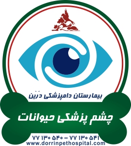 بخش چشم حیوانات خانگی بیمارستان دامپزشکی درین