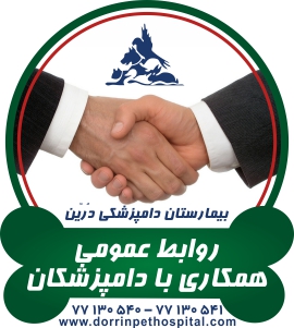 همکاری با دامپزشکان و روابط عمومی بیمارستان دامپزشکی درین