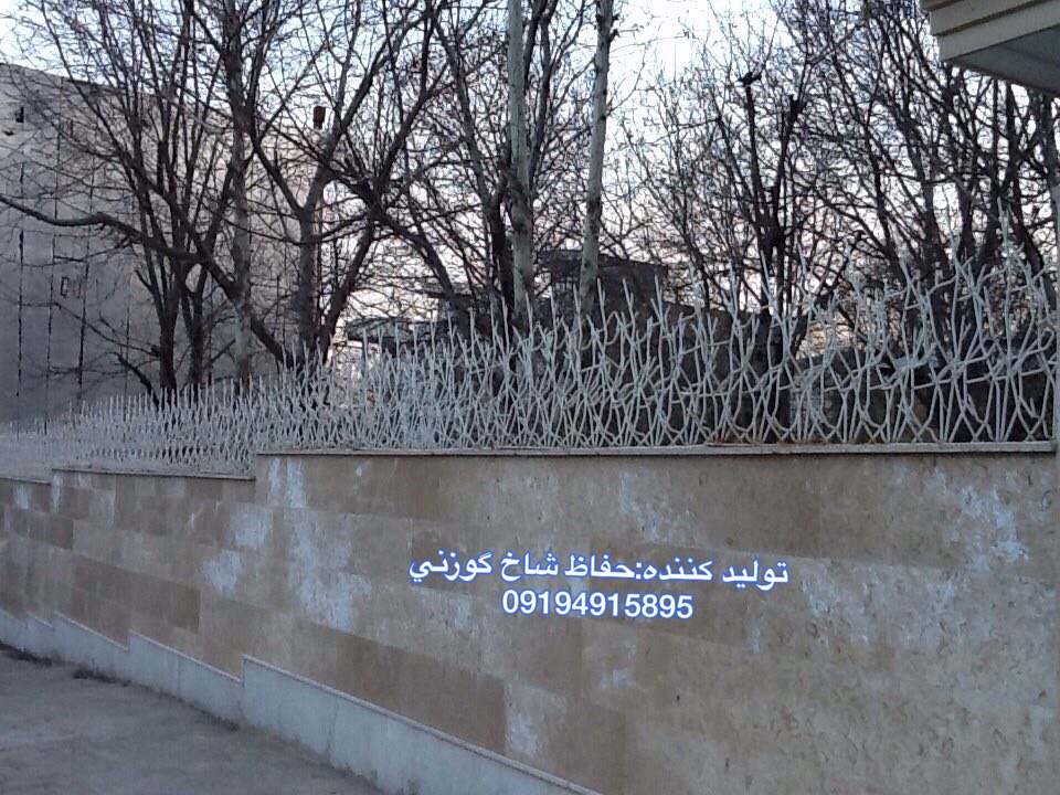 حفاظ ايران