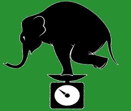 نرم افزار توزین رسا برای انواع باسکول