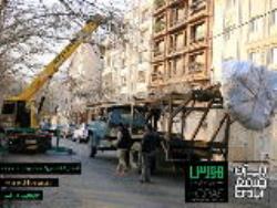 جابجایی درخت