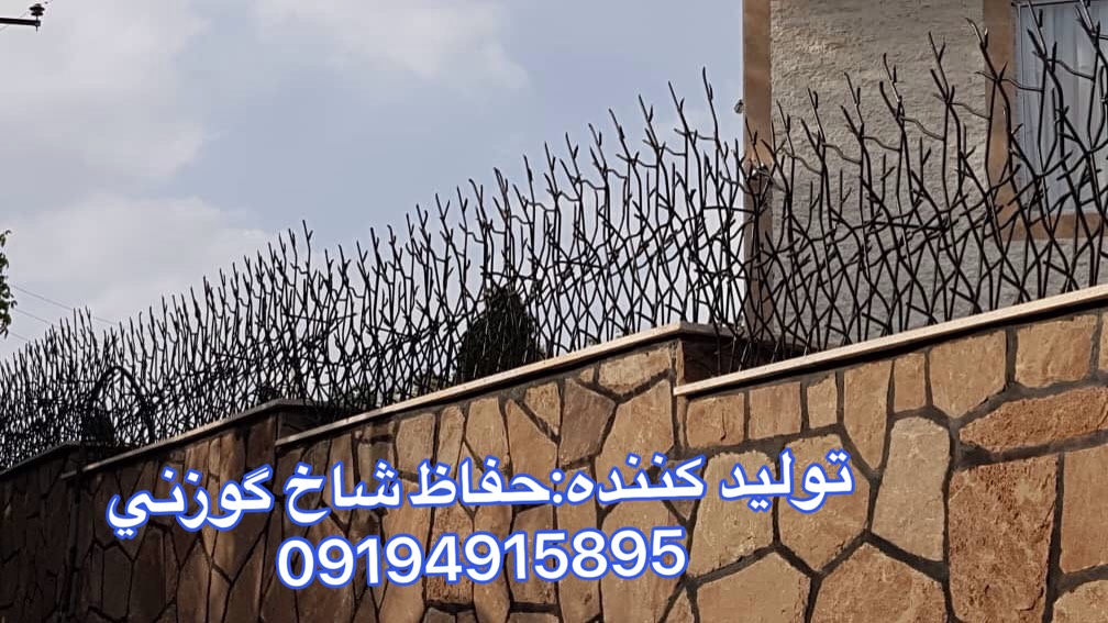 شاخ گوزني