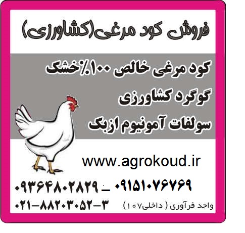 عرضه مستقیم کود مرغی