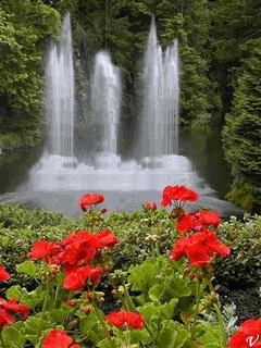 فروش کلیه گروه خونی o- منفی 