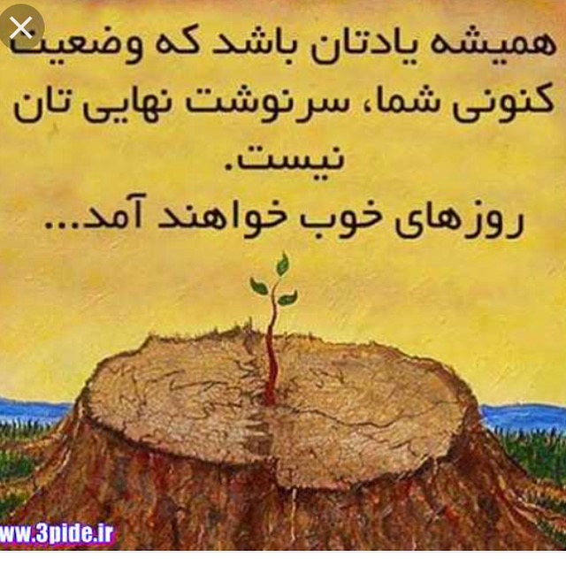 فروش كليه
