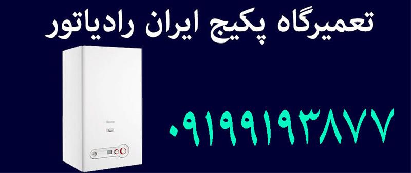 تعمیر پکیج دیواری بوتان