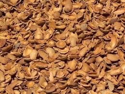 خرید و فروش پسته,پوست پسته, پوست بادام و..  