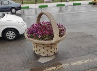 گلدان شهری مستطیلی و گرد سبدی