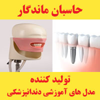 تولید کننده  مدل های آموزشی دندانپزشکی - حاس بان ماندگار