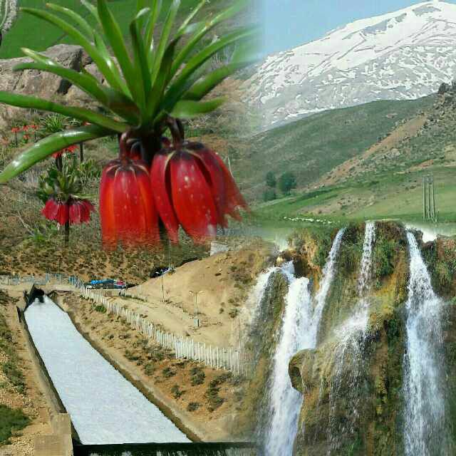 کبد و کلیه ومغزاستخوان  خود را فوری میفروشم. اورژانسی ها تماس بگیرید. قیمت توافقی