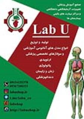 لب یو  صنایع آموزش پزشکی ، تولید و توزیع انواع مولاژ های تخصصی  آموزش پزشکی. انواع فانتوم ومدل های آناتومی مناسب  آزمایشگاه  مدارس و دانشگاه و مراکز مهارت های بالینی بیمارستان ها 