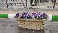 گلدان شهری مستطیلی و گرد سبدی