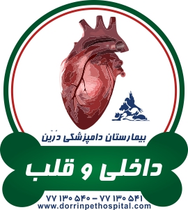 بخش قلب و داخلی حیوانات خانگی بیمارستان دامپزشکی درین