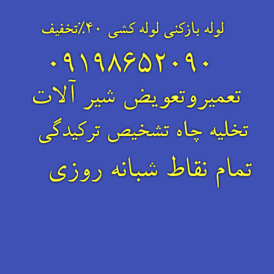 لوله بازکنی ونک 