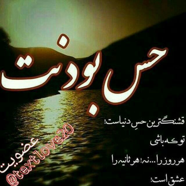 کلیه B+ سالم فوری فروشی،26ساله،آقا هستم. 