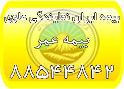 بیمه عمر ایران، بیمه عمر مان (بیمه ایران نمایندگی علوی)