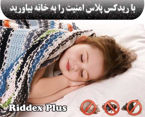 آیا از حشرات و حیوانات موذی اطرافتان خسته شده اید؟