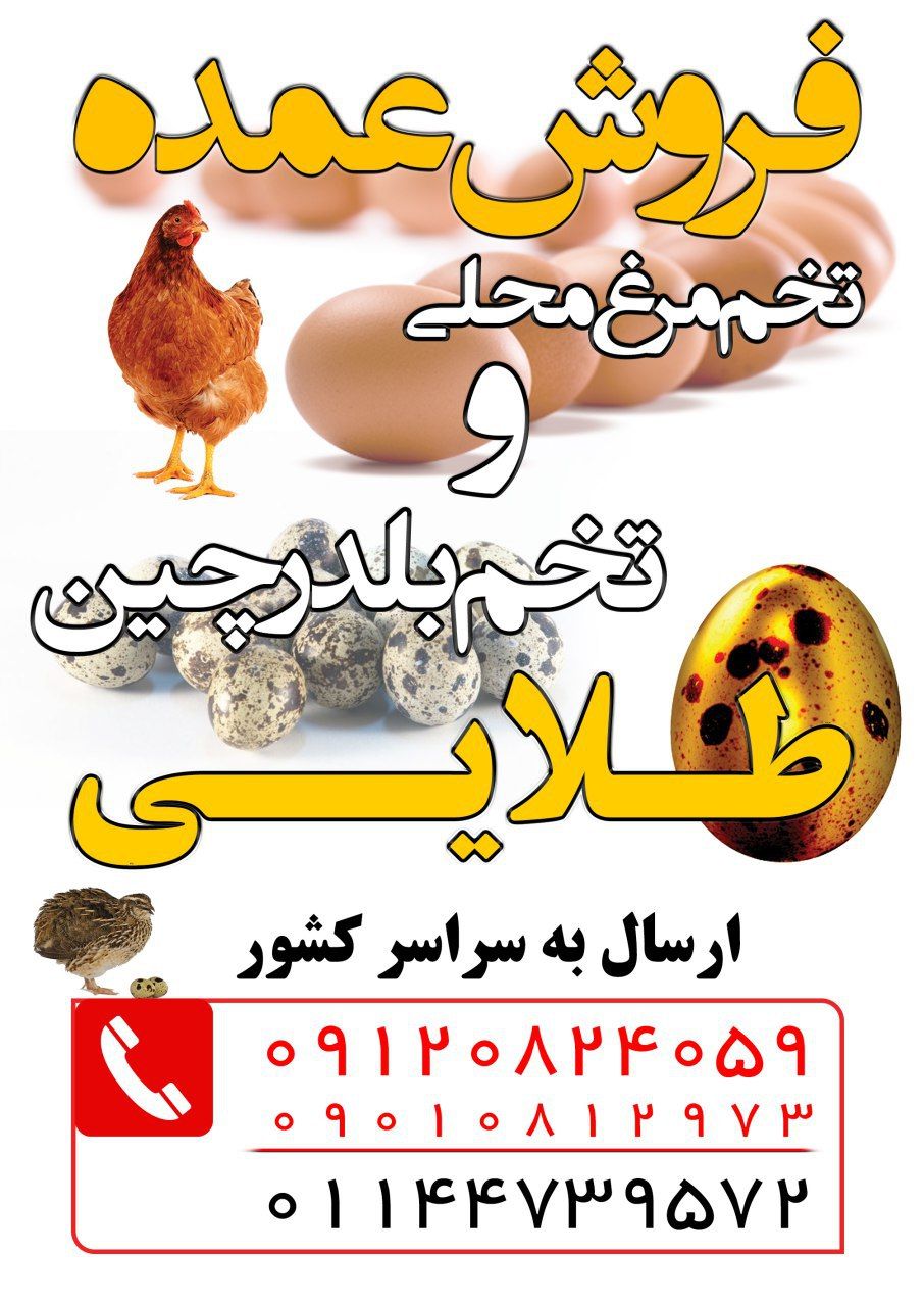 شرکت تعاونی مهر خواه صنعت