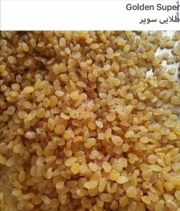عرضه انواع کشمش با بهترین قیمت و کیفیت