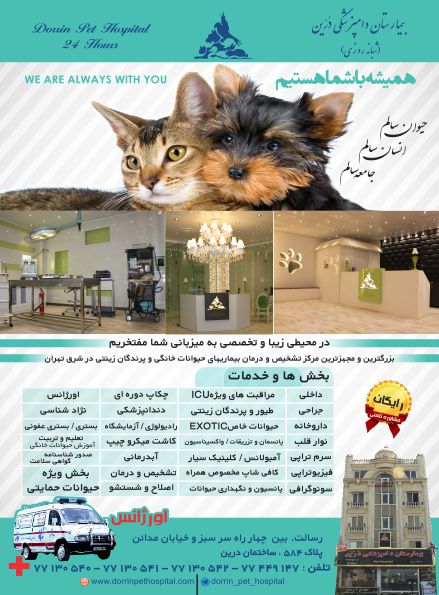 فروشگاه و پت شاپ لوازم حیوانات خانگی درین