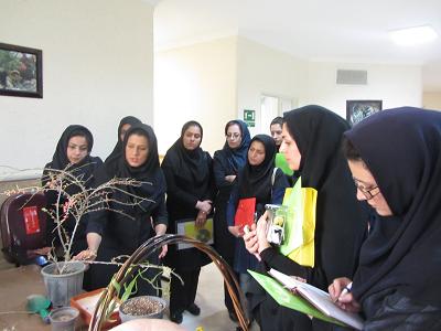 دوره اموزشی پرورش بونسای