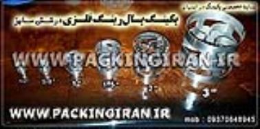 تولید کننده پال رینگ استیل