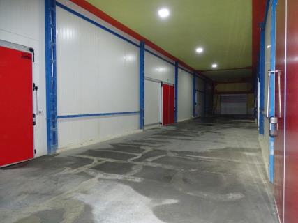 سردخانه
