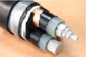 نمایندگی سیم وکابل شاذ الکتریک