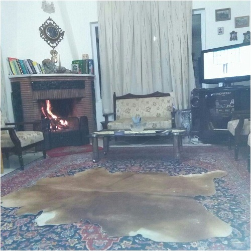 اجاره روزانه ویلا طالقان