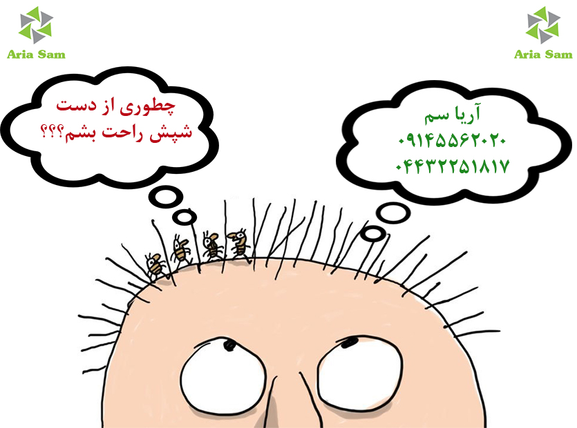 شامپو دی فنوترین ضدشپش تخصصی برای موی سر