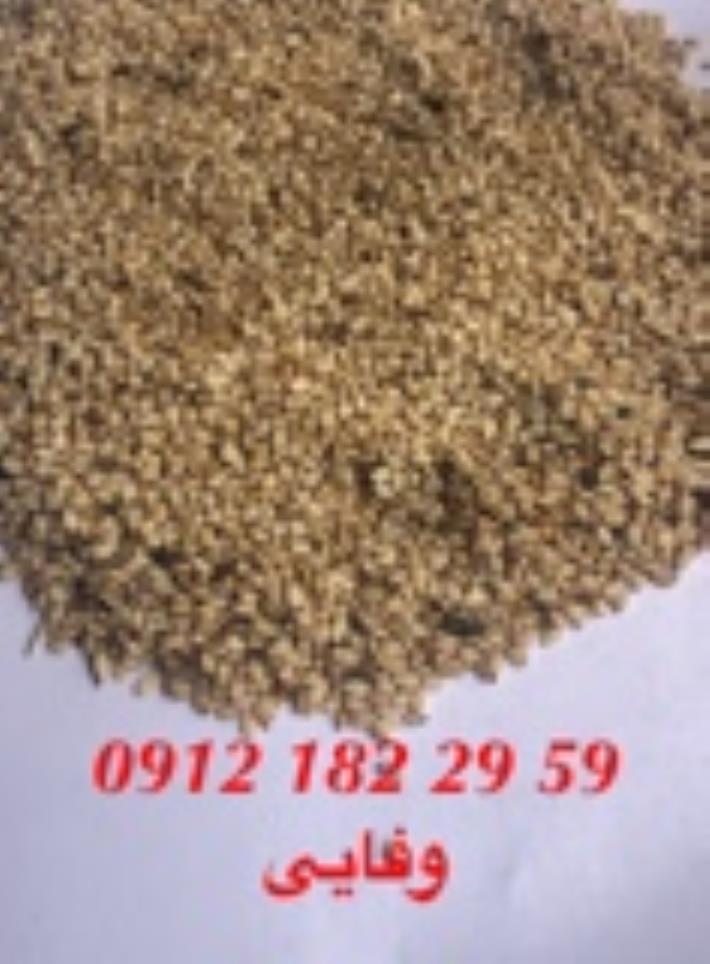 فروش انواع کنجد شسته و بوجاری