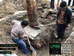 جابجایی درخت