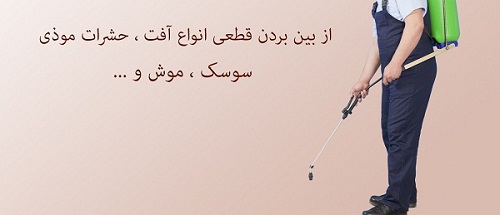 سمپاشی تهران
