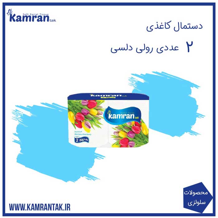 فروش عمده دستمال کاغذی رولی دلسی