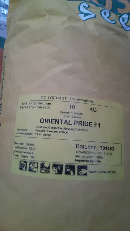 بذر اسفناج اورینتال پراید F1 هیبرید ( Oriental Pride F1