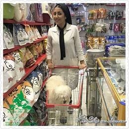 رادیولوژی و سونوگرافی بیمارستان دامپزشکی درین 