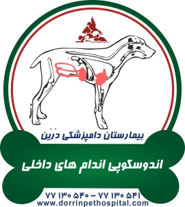 اندوسکوپی اندامهای داخلی حیوانات خانگی بیمارستان دامپزشکی درین