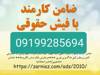 اجاره فیش حقوقی/اجاره جوازکسب/ضامن دادگاه/ضامن دادسرا09199285694