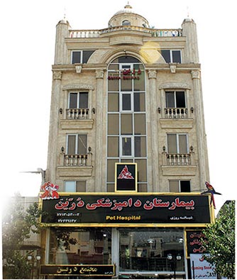 رادیولوژی و سونوگرافی بیمارستان دامپزشکی درین 