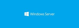 Windows Server 2022,2019,2016,...